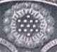 The United States One Dollar Bill