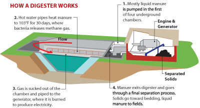 Illustration of how a digester works