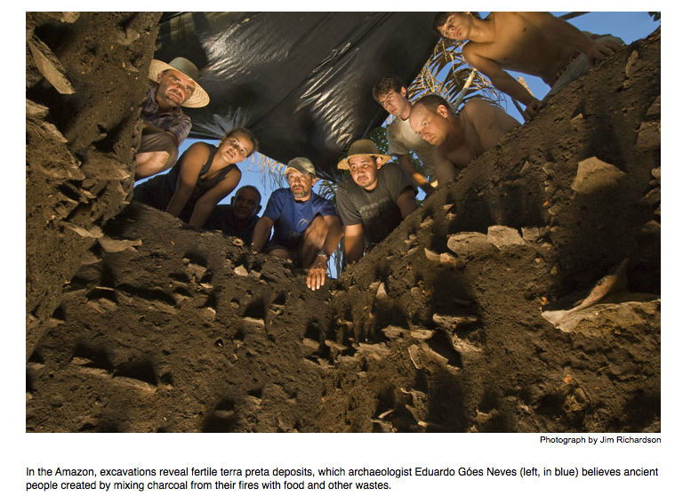 amazon excavatoin