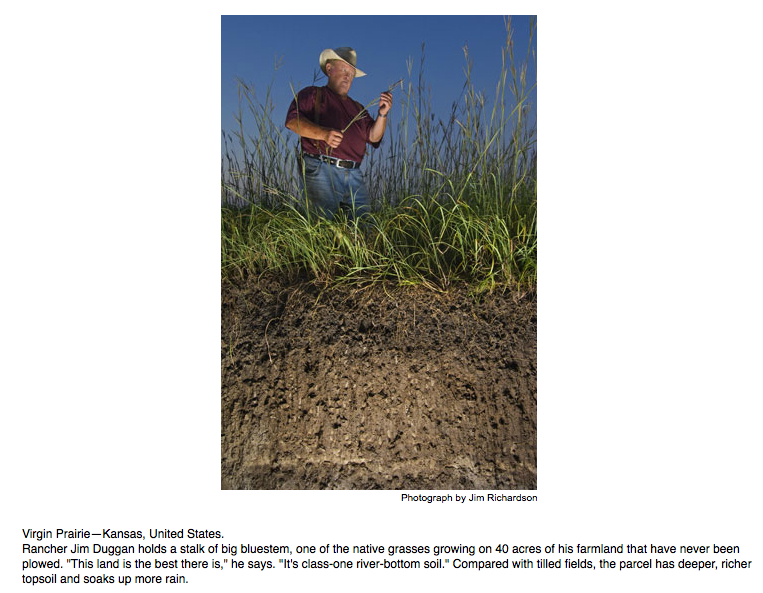 KS soil