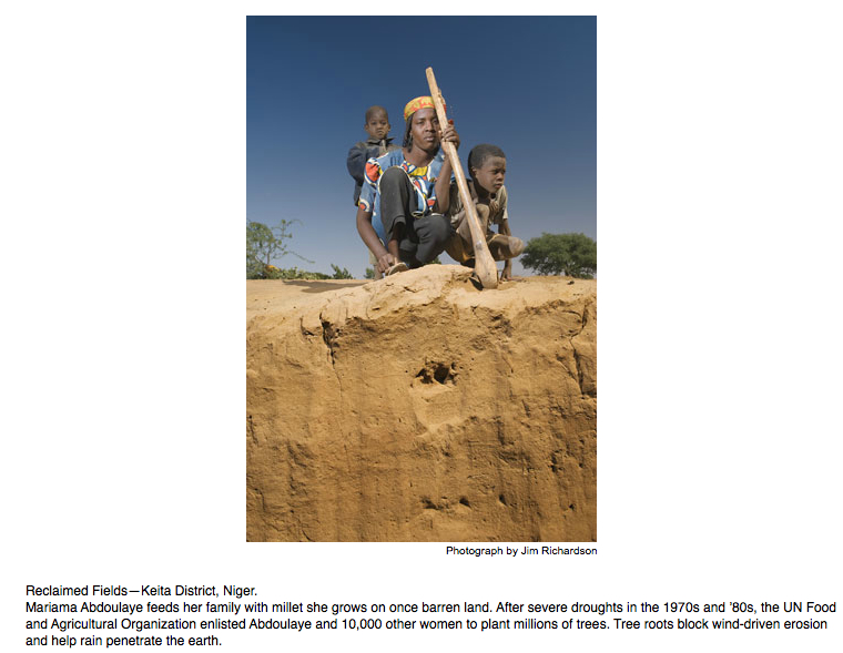 Niger soil