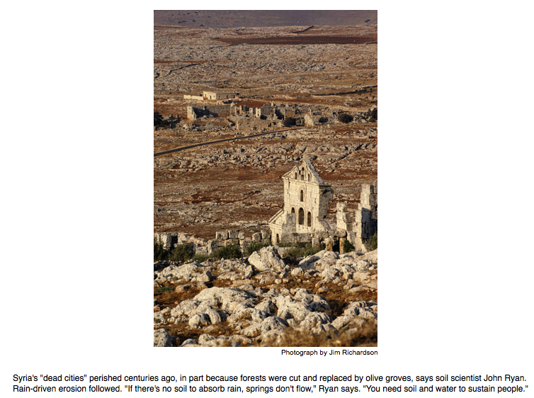 syria dead cities