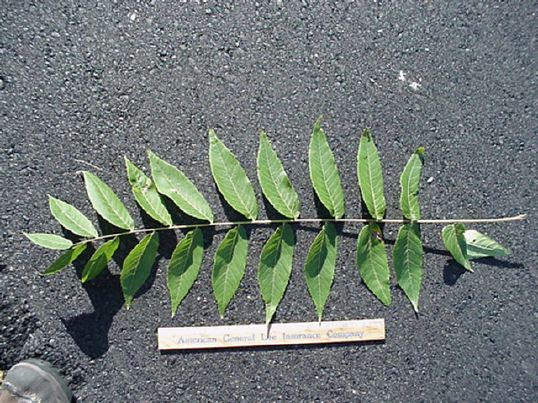 mc024-1.jpg