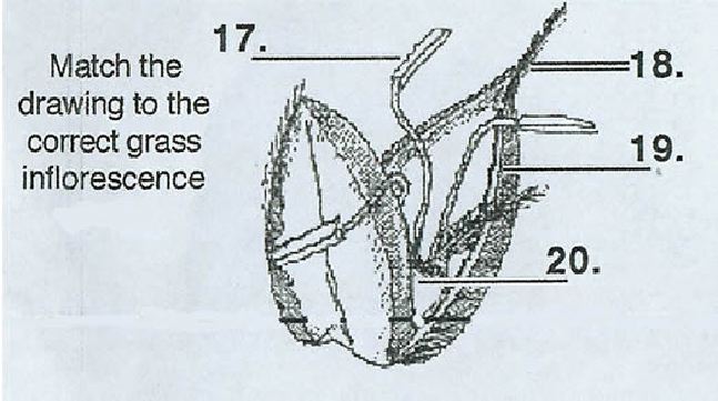 grp005-1.jpg
