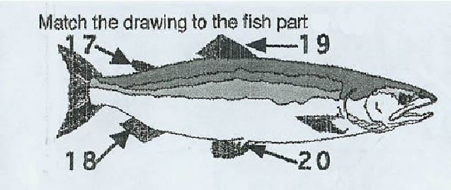 grp005-1.jpg