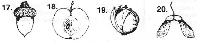 grp005-1.jpg