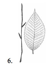 2005_oh_st_wildlife_files/i0400001.jpg