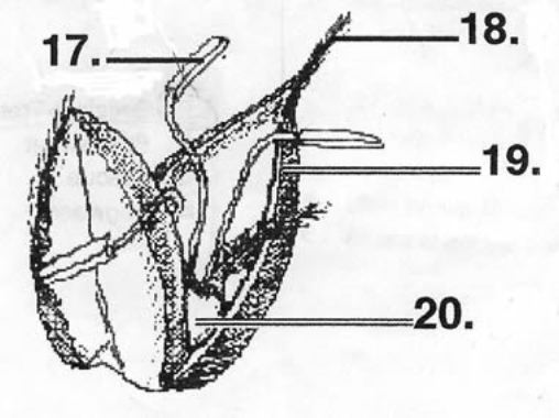 grp005-1.jpg