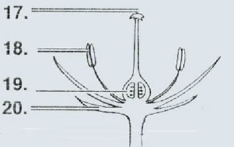 grp005-1.jpg
