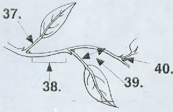 grp010-1.jpg