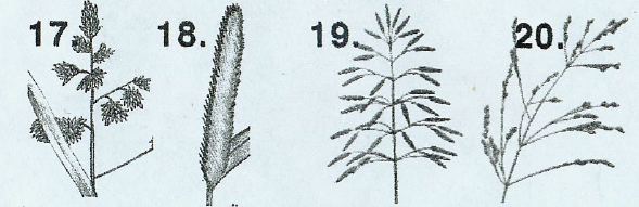 grp001-1.jpg