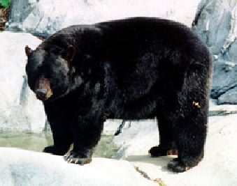 mc002-1.jpg
