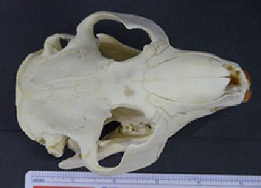 mc001-1.jpg