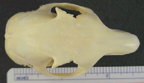 mc004-1.jpg