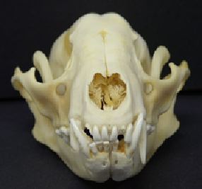 mc022-1.jpg