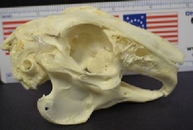 mc023-1.jpg