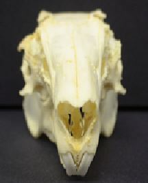 mc024-1.jpg
