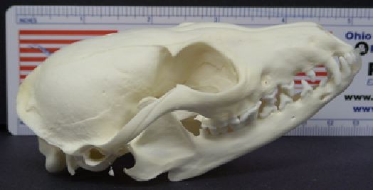 mc027-1.jpg