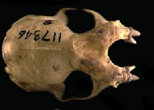 mc041-1.jpg