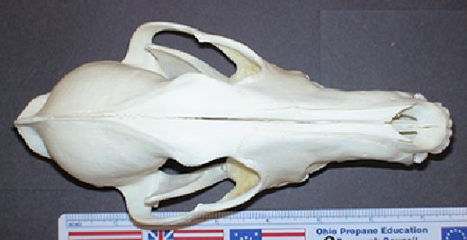 mc001-1.jpg