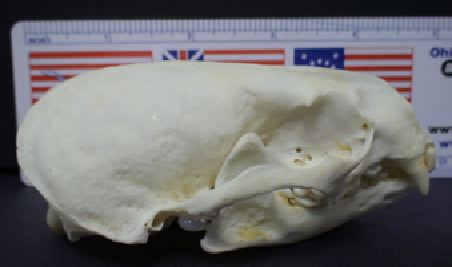 mc022-1.jpg