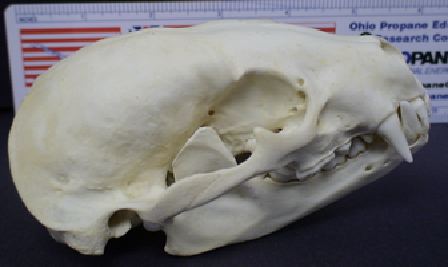mc023-1.jpg