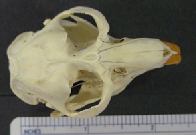 mc002-1.jpg
