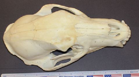 mc016-1.jpg