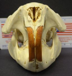 mc019-1.jpg