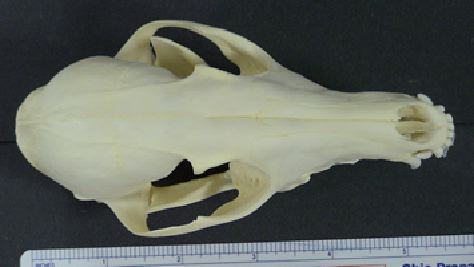 mc022-1.jpg