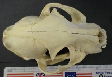 mc025-1.jpg