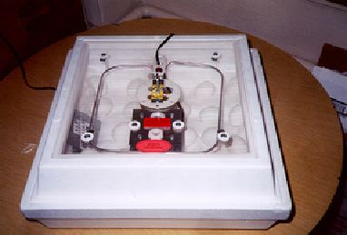 mc049-1.jpg