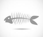 dead fish